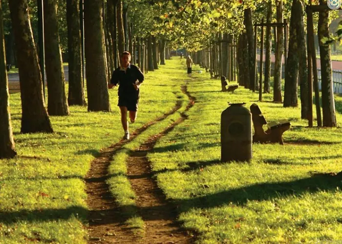 公寓 350 M De La Gare/10min De L'hyper-centre. *